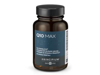 Principium Q10 Max
